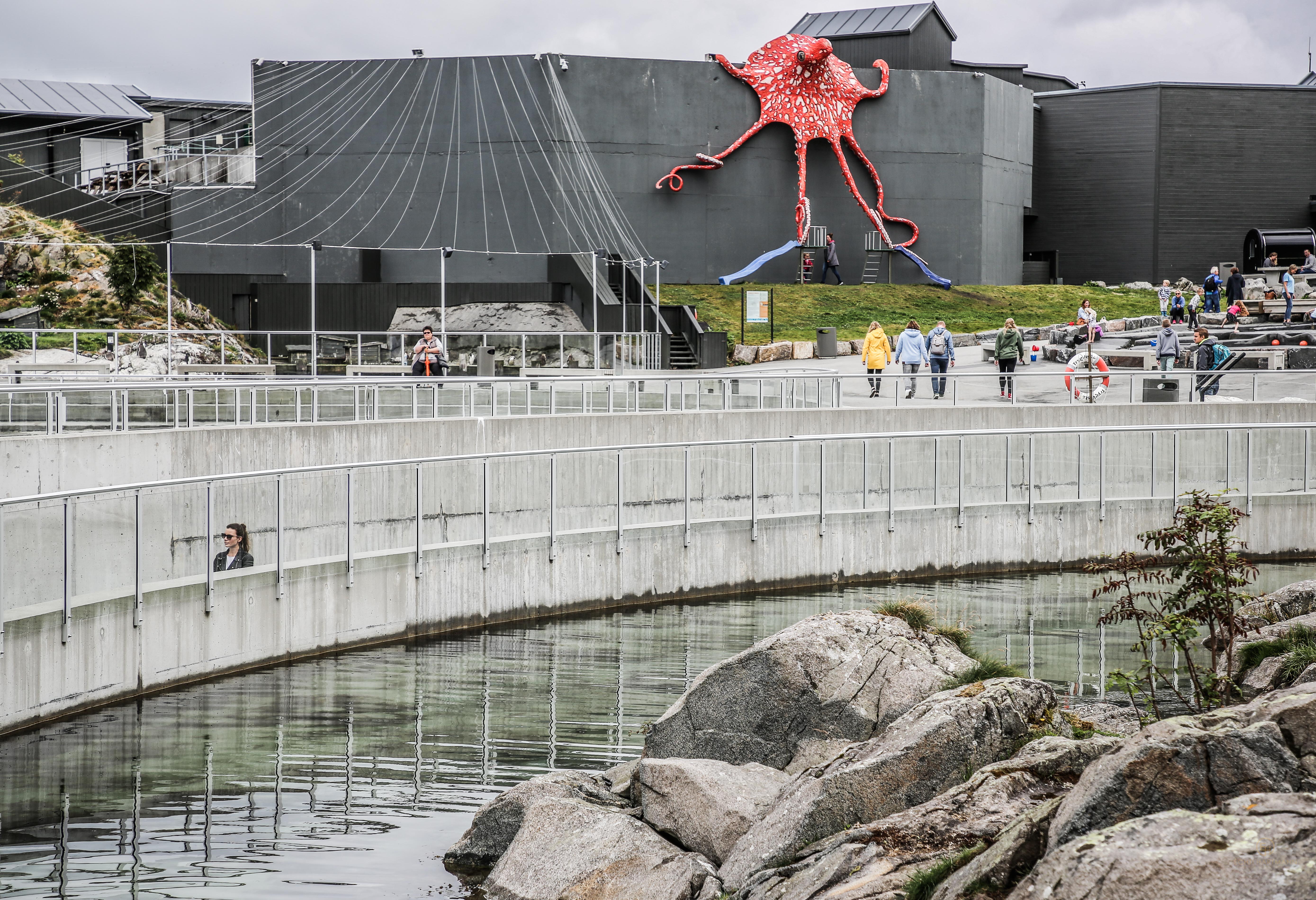 Alles hat ein Ende - Ålesund – echt Hartmann