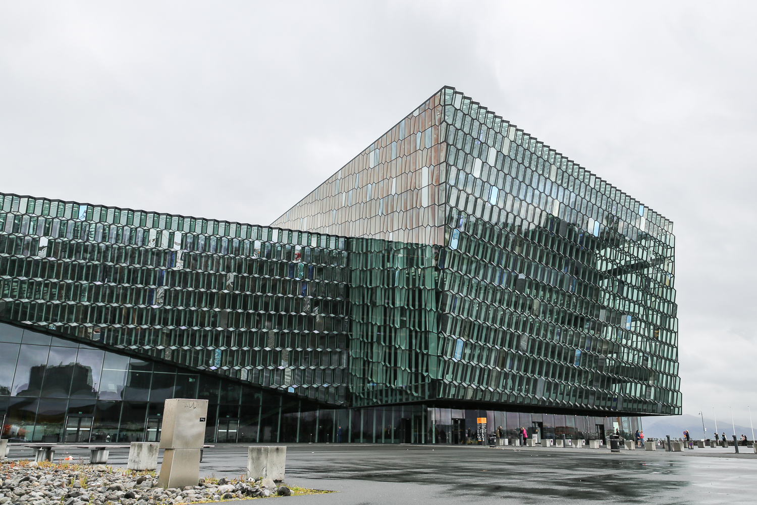 Reykjavik Harpa Hafen