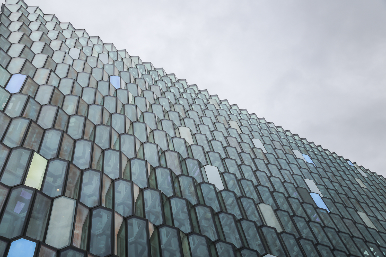 Reykjavik Harpa Hafen