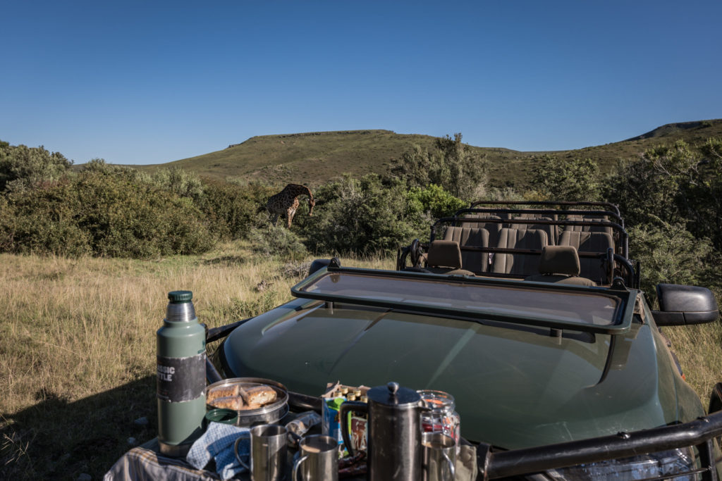 Gondwana Private Game Reserve Breakfast Vehicle with Giraffe