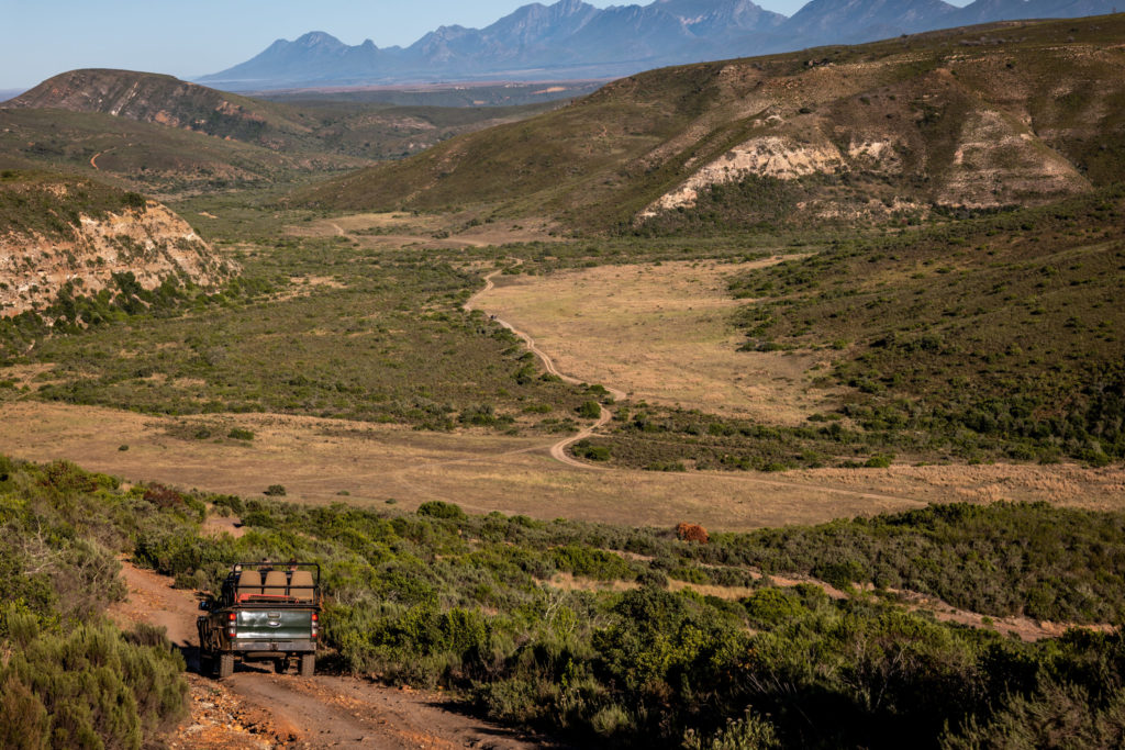 Gondwana Private Game Reserve Game Drive Vehicle in Mountains
