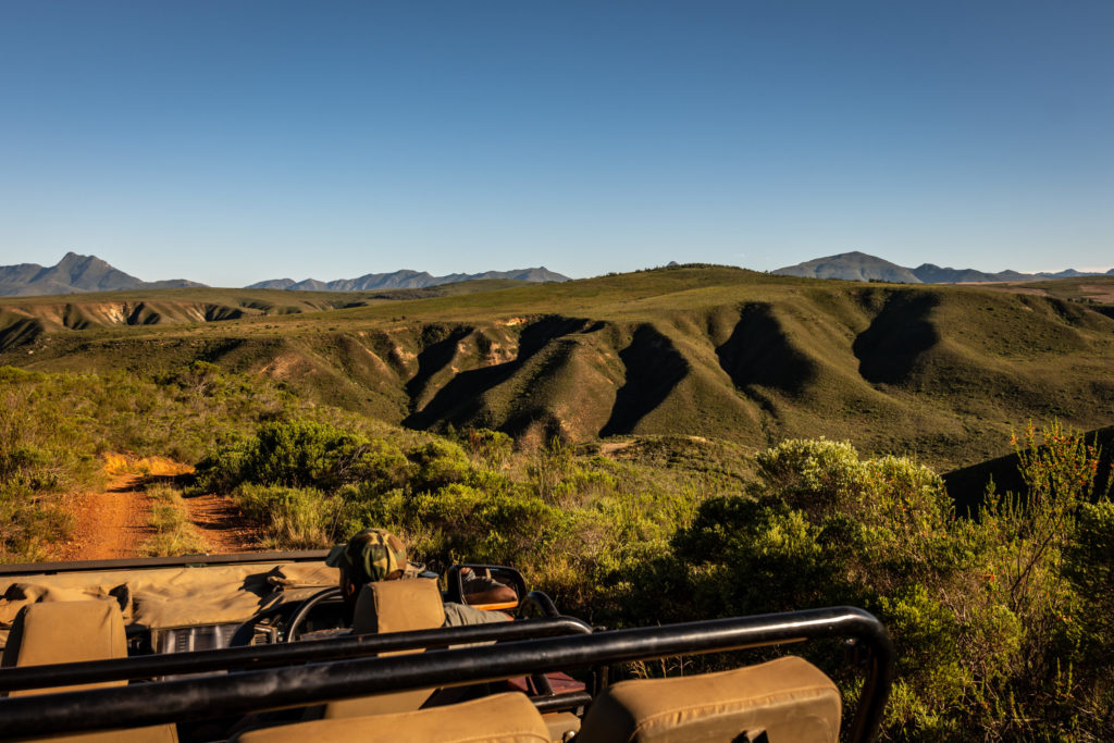 Gondwana Private Game Reserve Mountains Game Drive